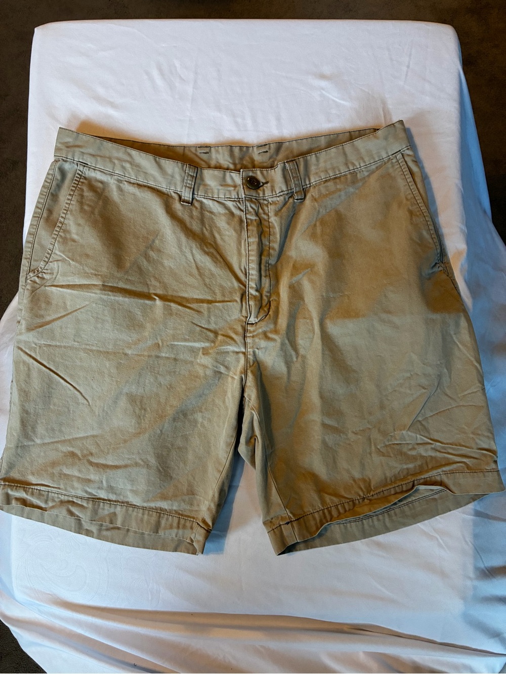 Patagonia Men's Flat-Front Shorts in khaki,100%organic cotton